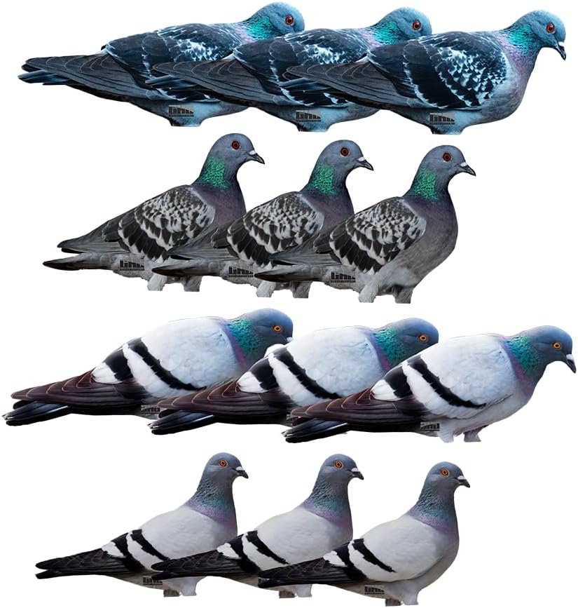 Banded GHG Pro Grade Silhouette Pigeon Decoys 6PK