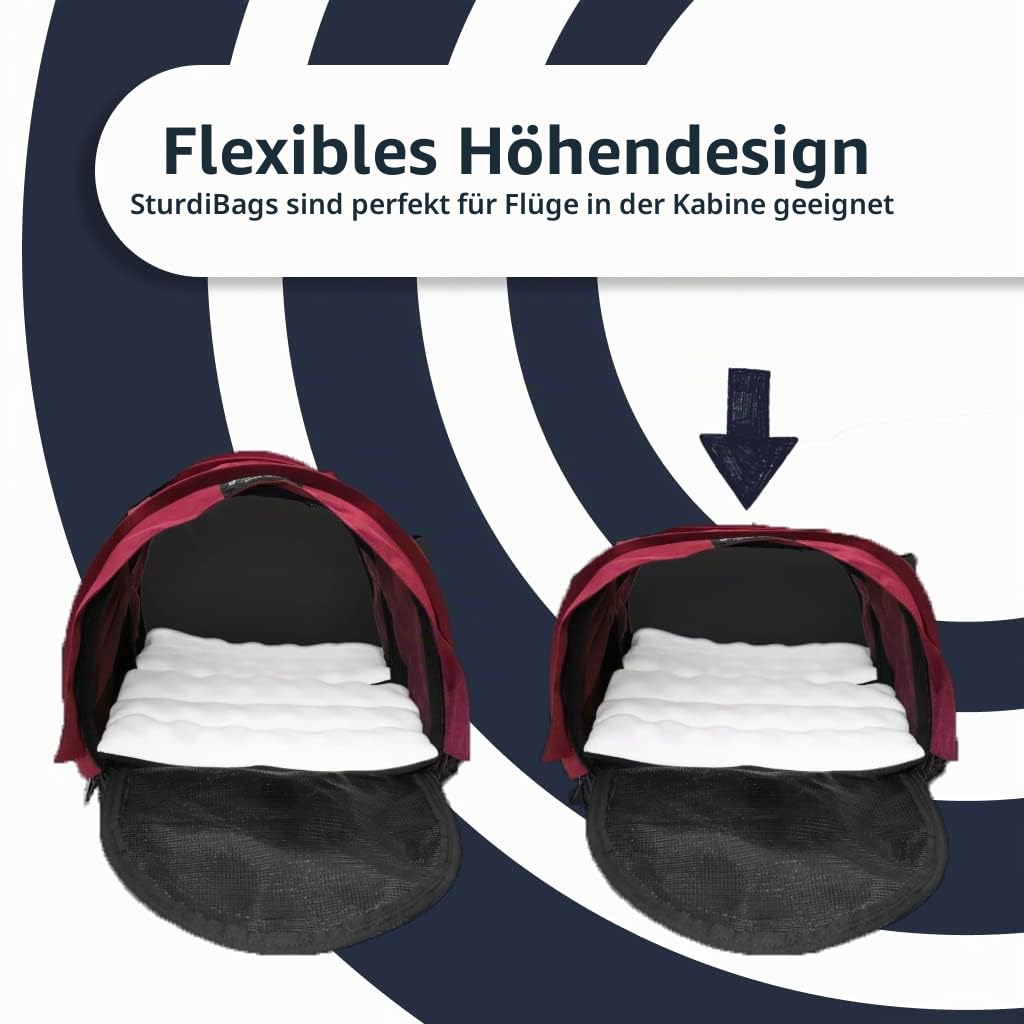 SturdiBag Große Haustier-Reisetragetasche: Flexible Höhe für Katzen und Hunde, weiche Seiten mit Sicherheitsclips und Sicherheitsgurten, Violett, 45,7 x 30,5 x 30,5 cm (PN: SB2-PRO-P)