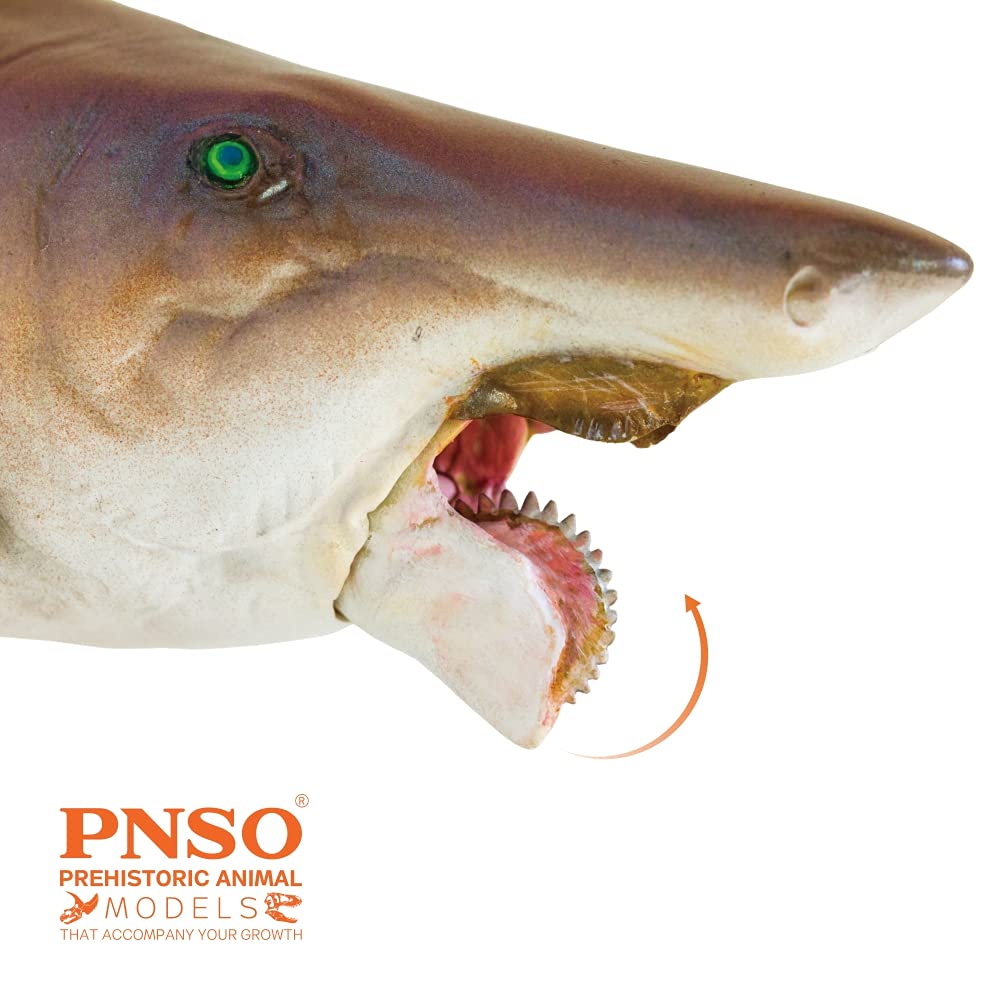 AMITD Prehistoric Animal Models (43 Haylee The Helicoprion)