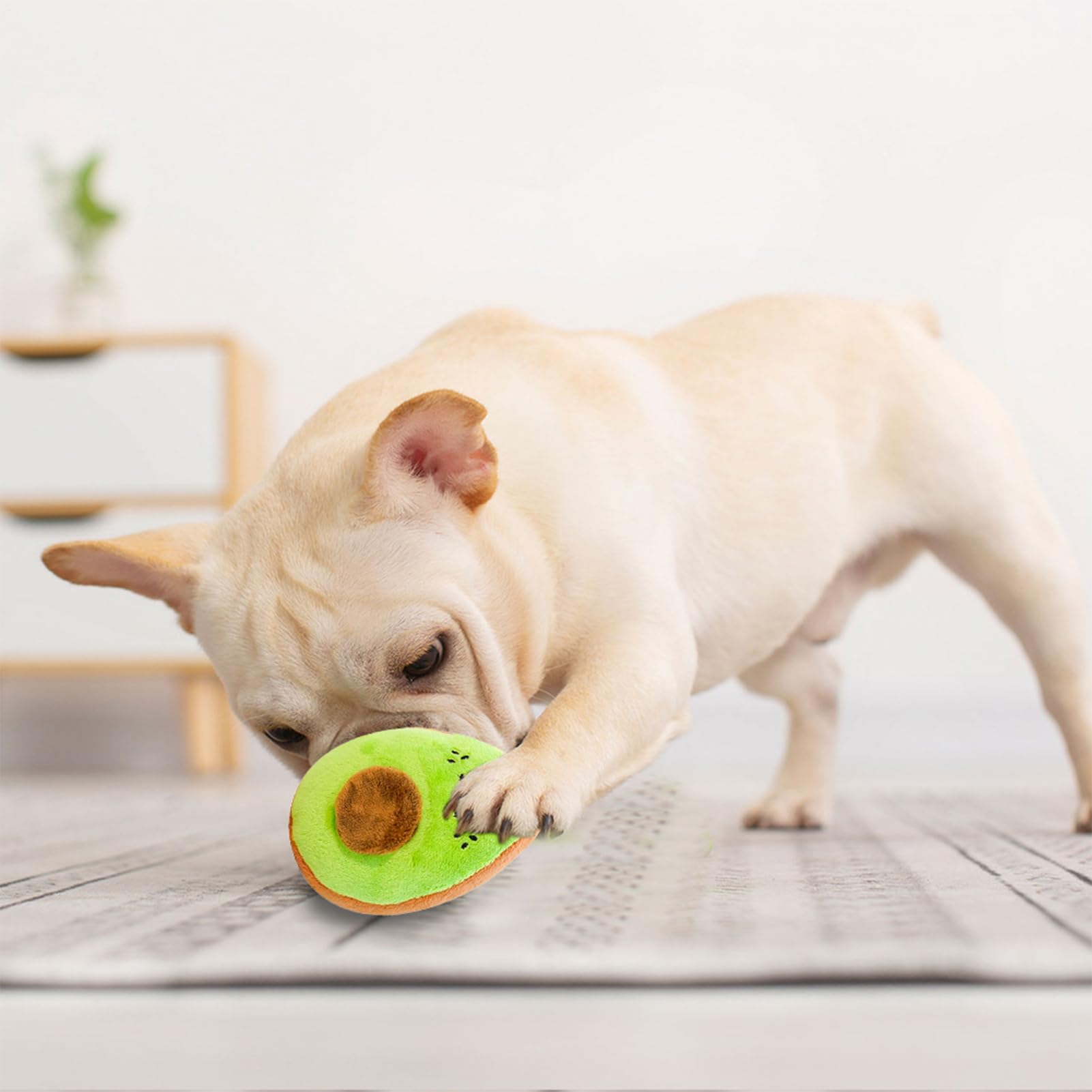 アボカド 犬