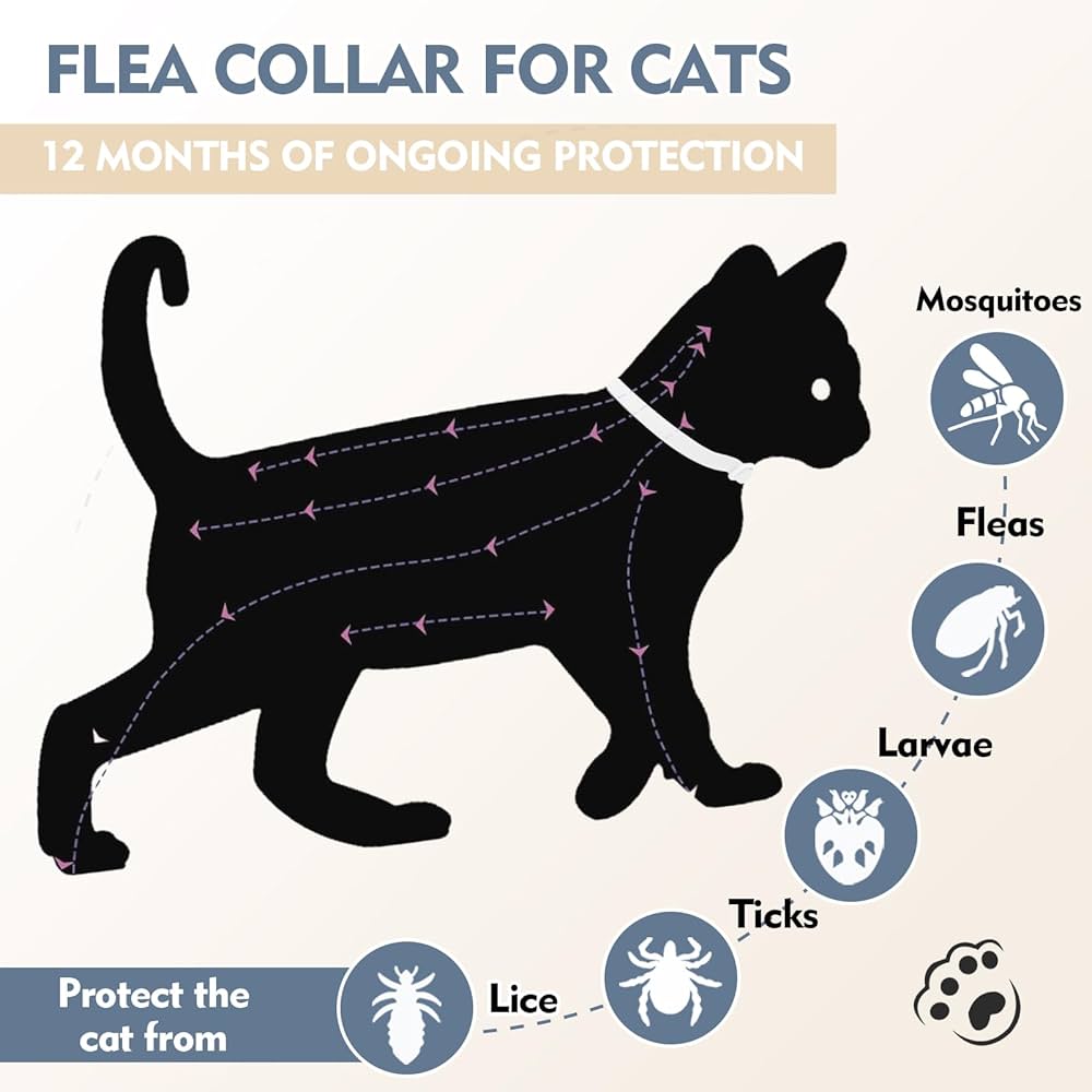 Collare Antiparassitario Per Gatti, Collare Antipulci Per Gatti Impermeabile Regolabile Naturale Con Protezione Di 8 Mesi, Si Illumina Al Buio