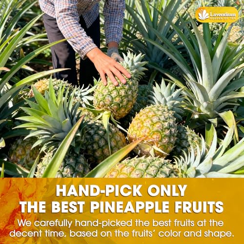 Image of Lavendium, Premium 6oz Dried Pineapple Slices, 100% Natural & Pure Pineapple, No Additives or Preservatives, Non-GMO, Plant-Based & Vegan, Perfect for Snacking, Baking & Smoothies