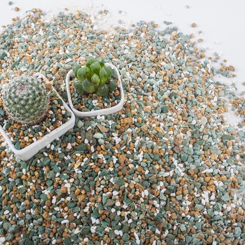 Image of 7lb Mix Rocks for Plants in Door -Mix Perlite,Maifanitum Stones,Zeolites Rocks for Bonsai Succulent Cactus Potting Soil and Vase Fillers, Fairy Gardening,Top Dressing