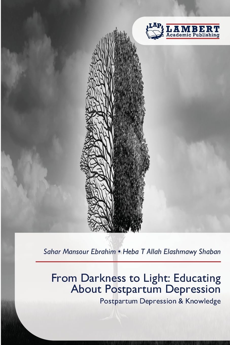 From Darkness to Light: Educating About Postpartum Depression: Postpartum Depression & Knowledge