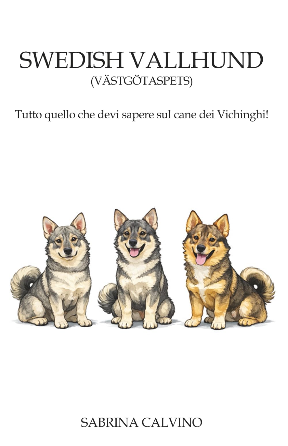Swedish Vallhund - Vastgotaspets: Tutto quello che devi sapere sul cane dei vichinghi