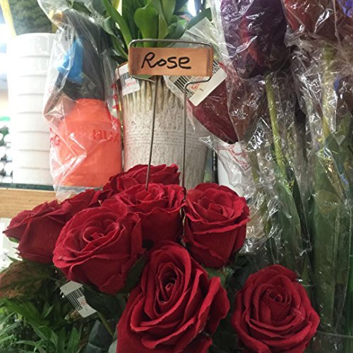 Ugold - The Original 30 Per Pack Garden Plant Copper Label (10" X 2.6") #TOP5