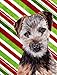 PatioPlus Norfolk Terrier Puppy Candy Cane Christmas Flag Garden Size