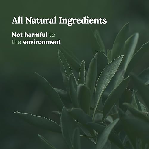 Miniatura 10 de MAGNIFICENT 101 Vela de aromaterapia de limpieza energética de salvia blanca pura, tarro de vidrio de 14.5 onzas con tapa, cera de soja natural y