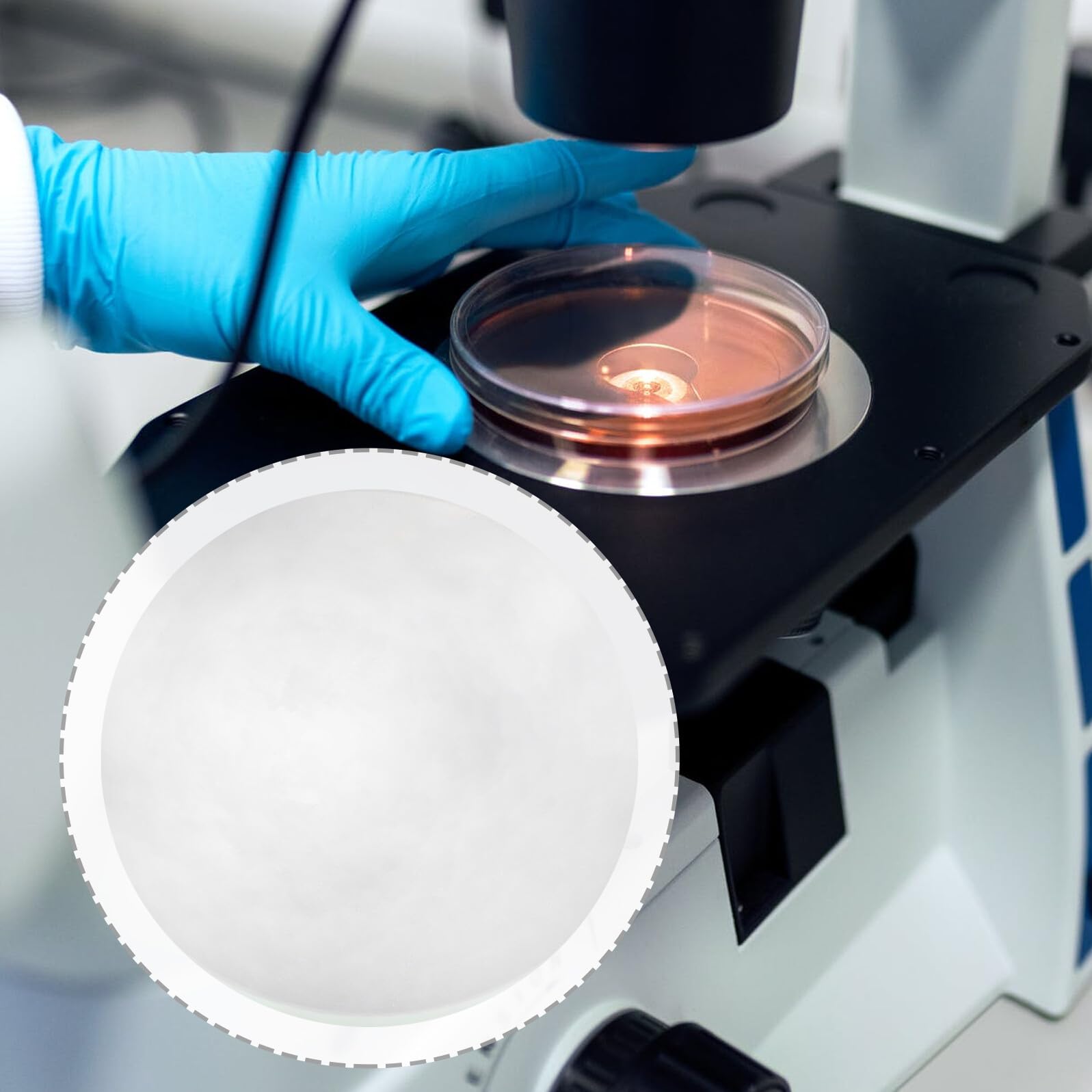 Healvian Set da 10 Pezzi di Vetri per Orologi da Laboratorio Rotondi Piatti in Vetro Resistente al Calore 60Mm per Esperimenti Scientifici Scuole e Laboratori Chimici
