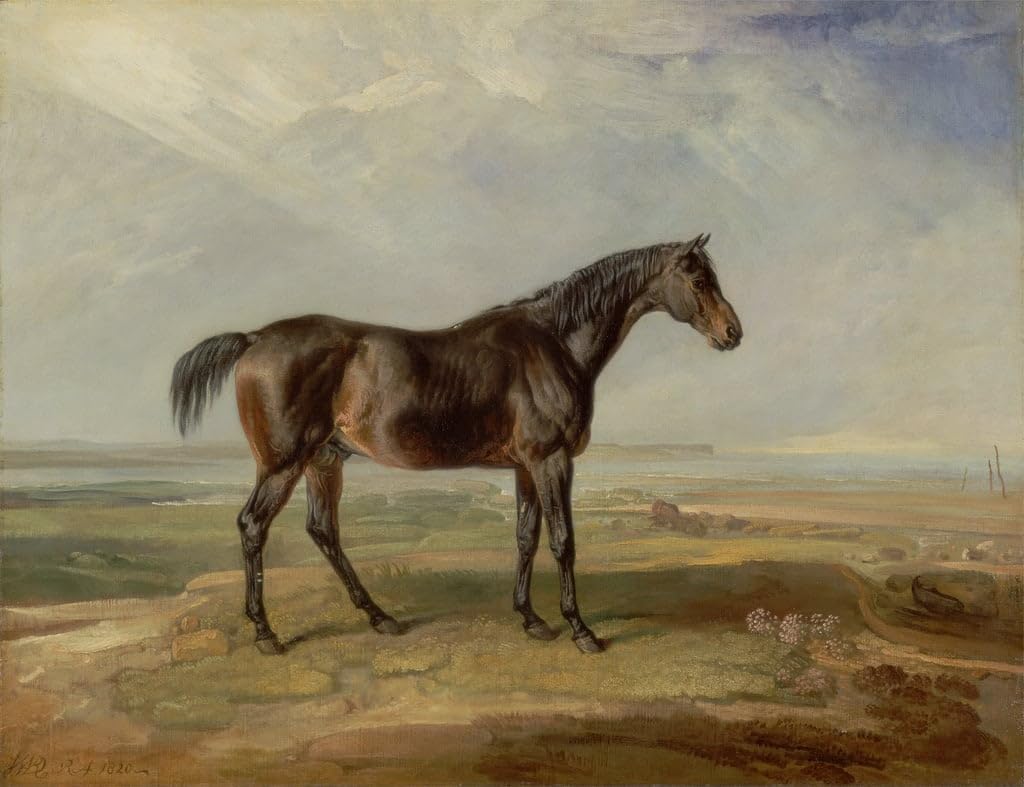 Art mural Dr Syntax tableau vintage de cheval baie paysage côtier 60x90 - 5