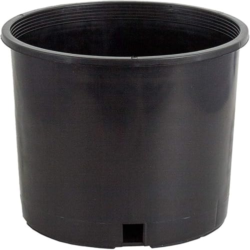 Miniatura 7 de Pote premium de 1 galón