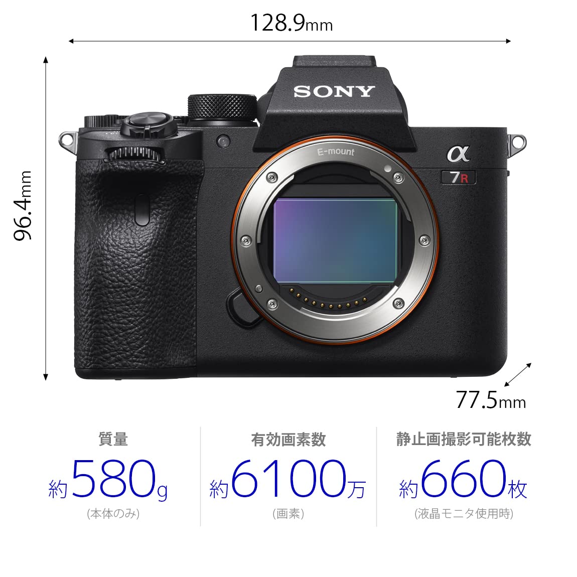 Amazon | SONY(ソニー) フルサイズ ミラーレス一眼カメラ α7RIV ボディ