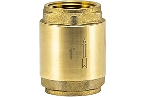 1 Inch In-line Check Valve for Efficient Flow Control