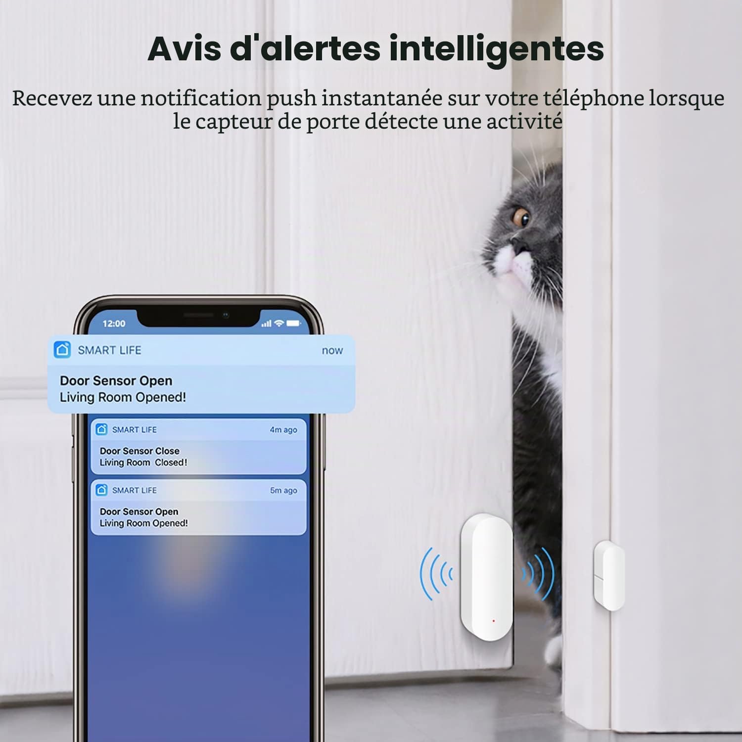 Capteur de porte WiFi : détecteurs intelligents d'ouverture/fermeture de porte, capteur de fenêtre sans fil avec alerte de notification par application, capteur de contact pour la sécurité de la