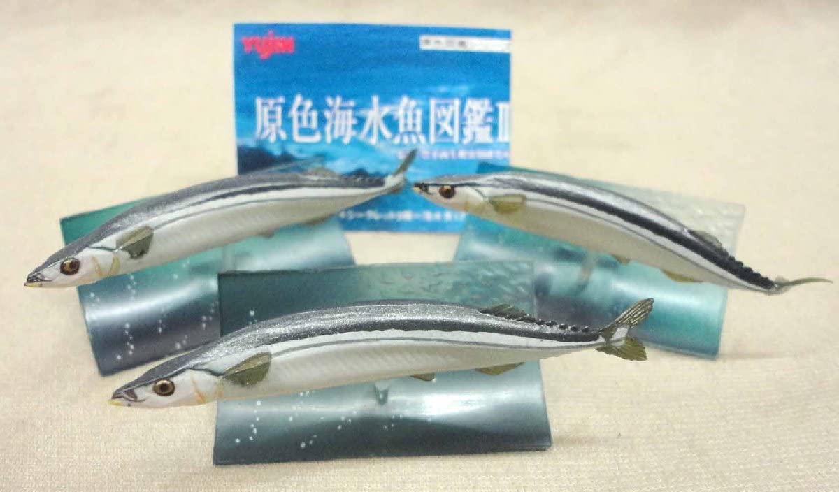 Amazon.co.jp: 原色海水魚図鑑2 サンマ 3個セット ユージン 原色図鑑
