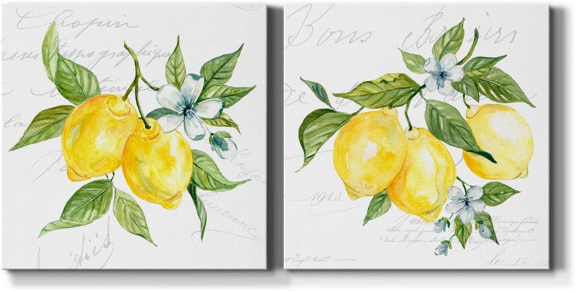 Renditions Gallery Lemon Squeeze Wall Art, Premium Gallery Wrapped Canvas Decor, Ready to Hang, 24 in H x 24 in W, Made in America Print
