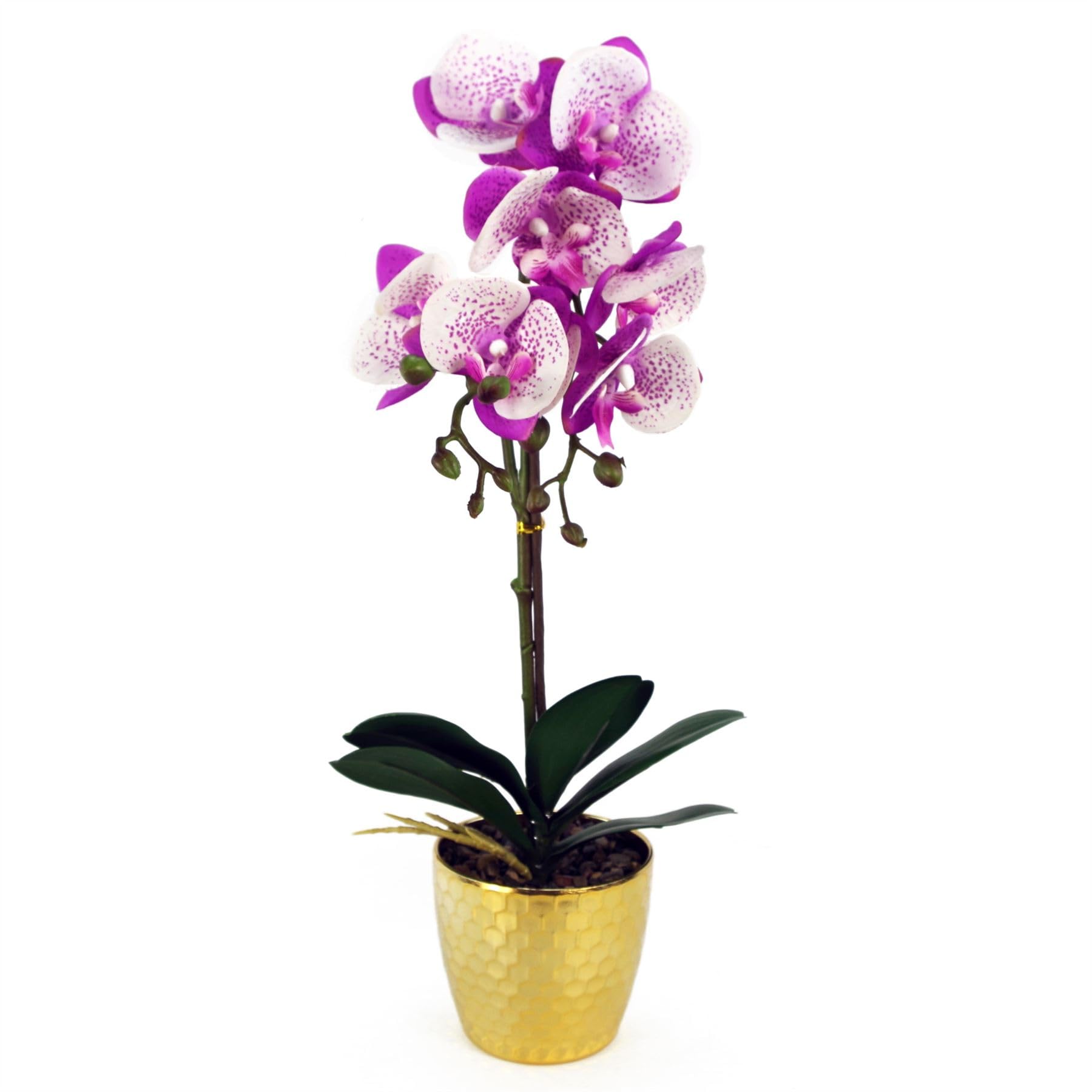 Artificial Orchid Phalaenopsis 50cm - Purple/White - Gold Pot - Real Touch Leaves