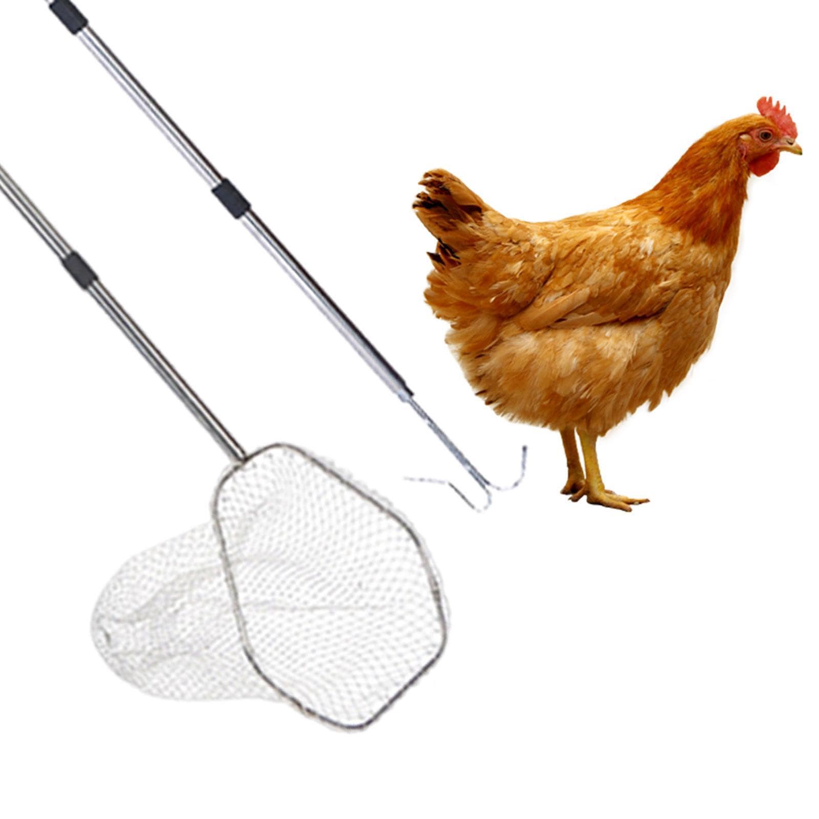 Red para Aves de Corral, Herramienta para Animales de Granja, Profesional, Versátil Y Práctica, Accesorios para Gallineros, para, Gatos Pequeños, Barra de Enlace