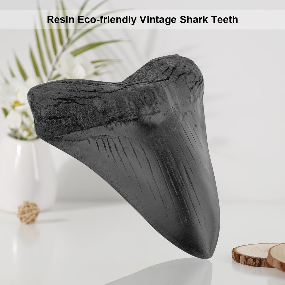 Denti di Squalo da 5 Pollici Modello Dente Megalodonte Gigante Facile da Pulire Decorazione Domestica Denti di Squalo Nero Biologia Marina Fossile Oggetti di Scena for Bambini