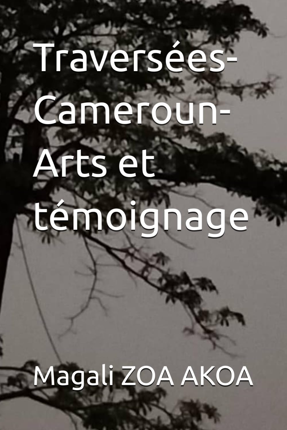 Traversées- Cameroun- Arts et témoignage