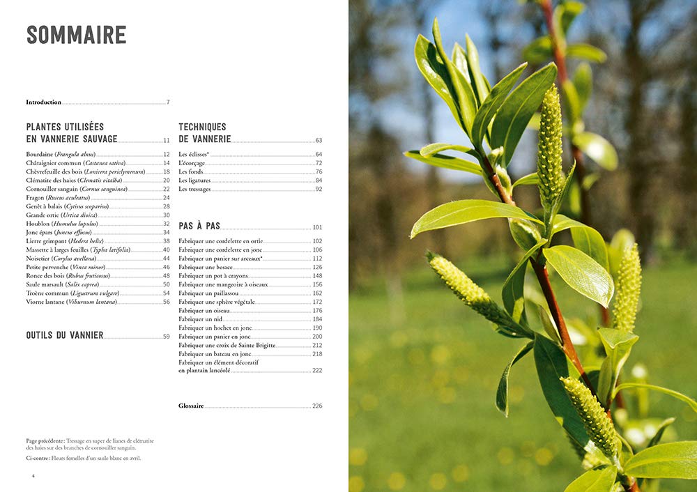 La vannerie avec des plantes sauvages