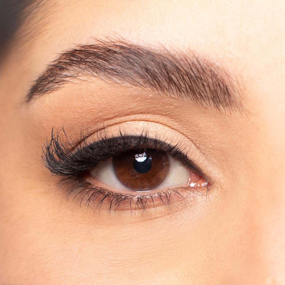 Mes Jolies Lentilles - LAETITIA - Couleur marron ANNUELLE sans correction - haute couvrance - convient aux yeux foncés et clairs + KIT DE TRANSPORT OFFERT