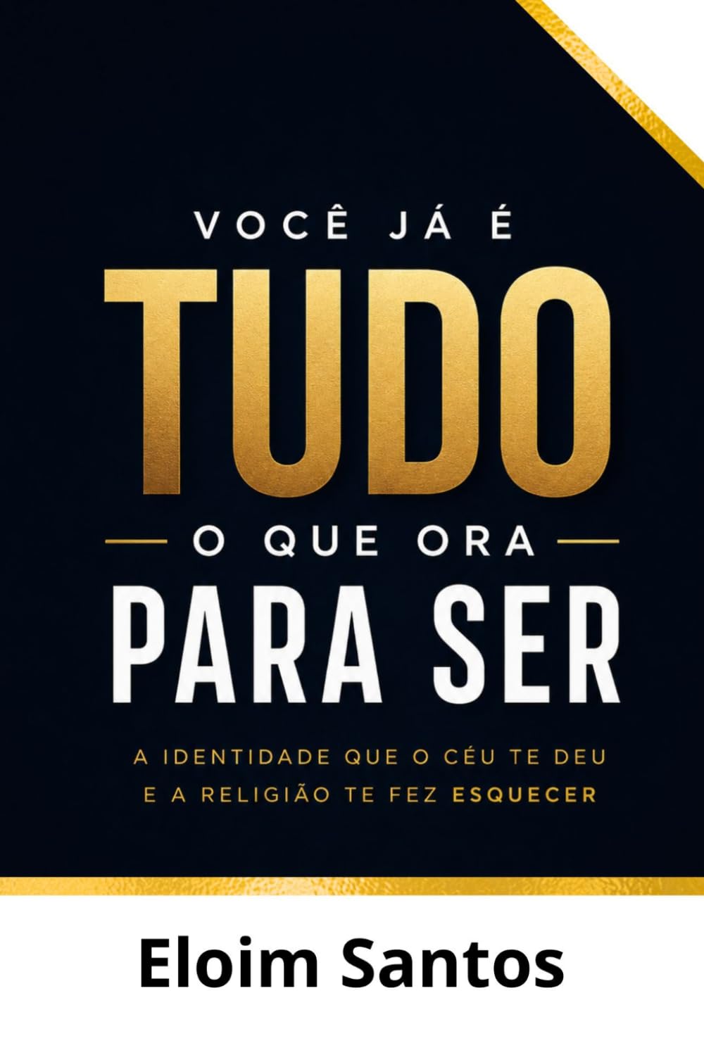 VOCÊ JÁ É TUDO O QUE ORA PARA SER: A identidade que o céu te deu e a religião te fez esquecer