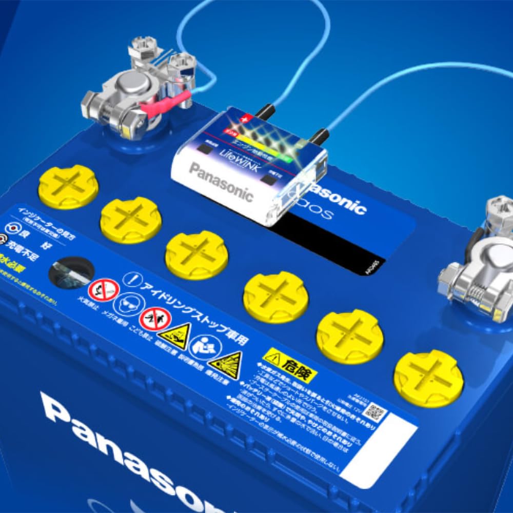 Panasonic LifeWINK N-LW/P6 Car Battery Life Testing Unit : Amazon