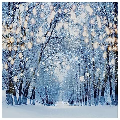 Allenjoy 6 x 6 FT Winter Forest Backdrop Wonderland Snowflake Photography Background Bokeh Glitter Snow Scene Christmas Party Decoration Tree Landscape Portrait for Photobooth Photo Studio Cover