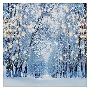 Allenjoy Winter Forest Backdrop-HL-2023-07-0001BP