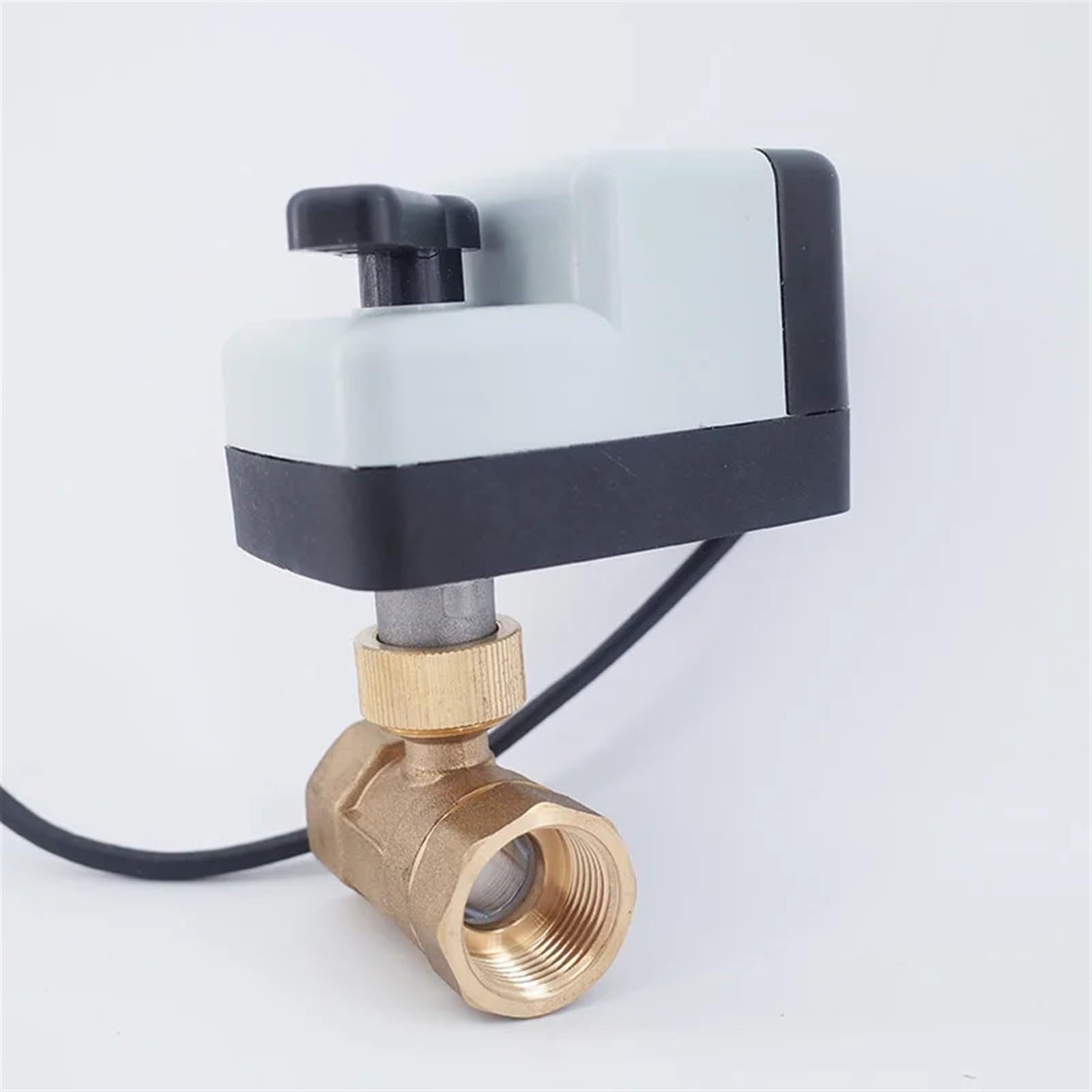 Vanne à boisseau sphérique électrique DN25 pour automatiser l'arrosage du jardin