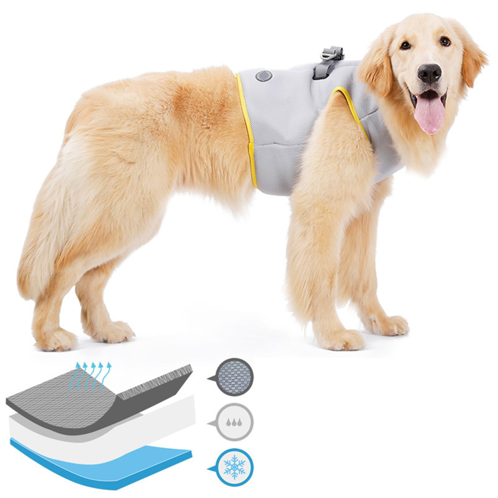 Gilet Rafraîchissant pour Chien et Chiot, Modèle L, Maille Coton