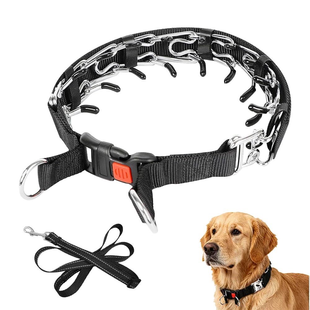 CYZTD Metal Anti Bark Collar for Dog with Lead, Choke Chain Training Collar for Dogs,Adjustable Anti Bark Collars for Pet Outdoor Training Stainless Steel Fork Collar for Small Medium Large Pets (XL)