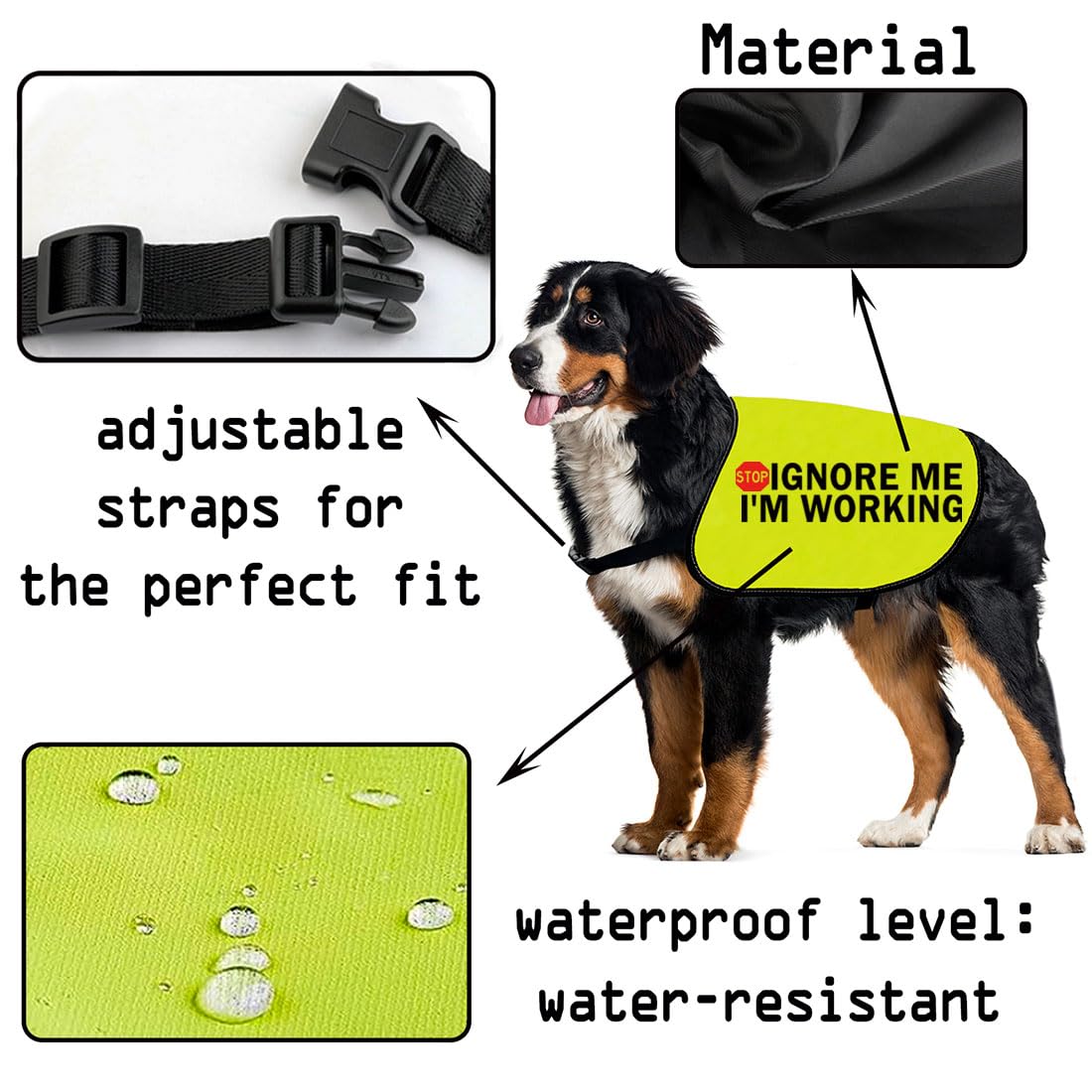 Leash Dealing With Reactive Dogs Aggressive Dog Leash Puppy Leash