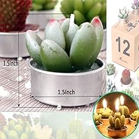 Vista 7 de AIXIANG 12 velas de cactus para suculentas, recuerdos de fiesta de boda para invitados, velas de despedida de soltera