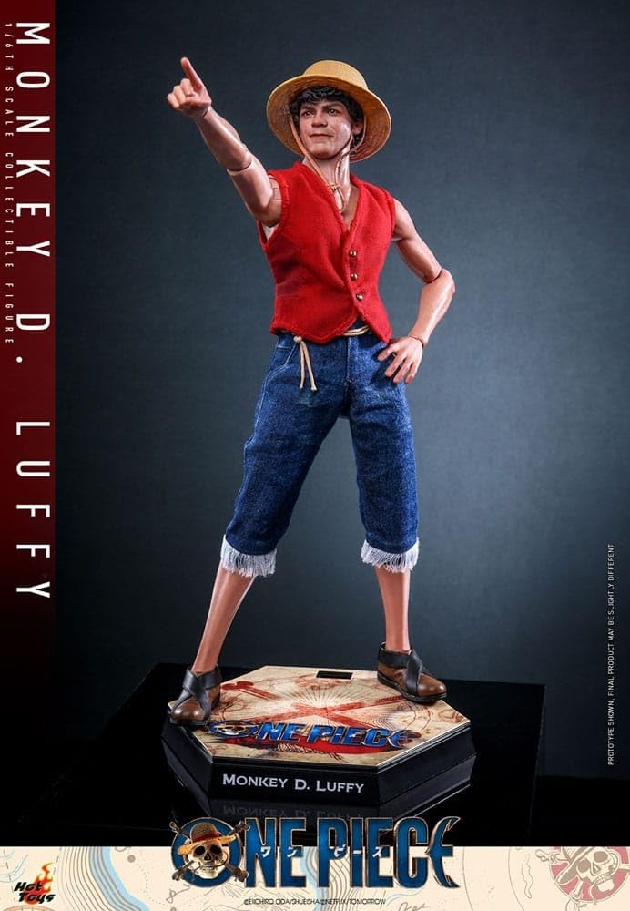 Amazon.co.jp: Hot Toys ワンピース モンキー・D・ルフィ 1/6スケール