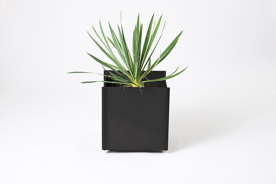 カツデン【鉄鉢】 Amazon | カツデン(Katzden) プラントボックス 鉄鉢[テッパチ] 屋外