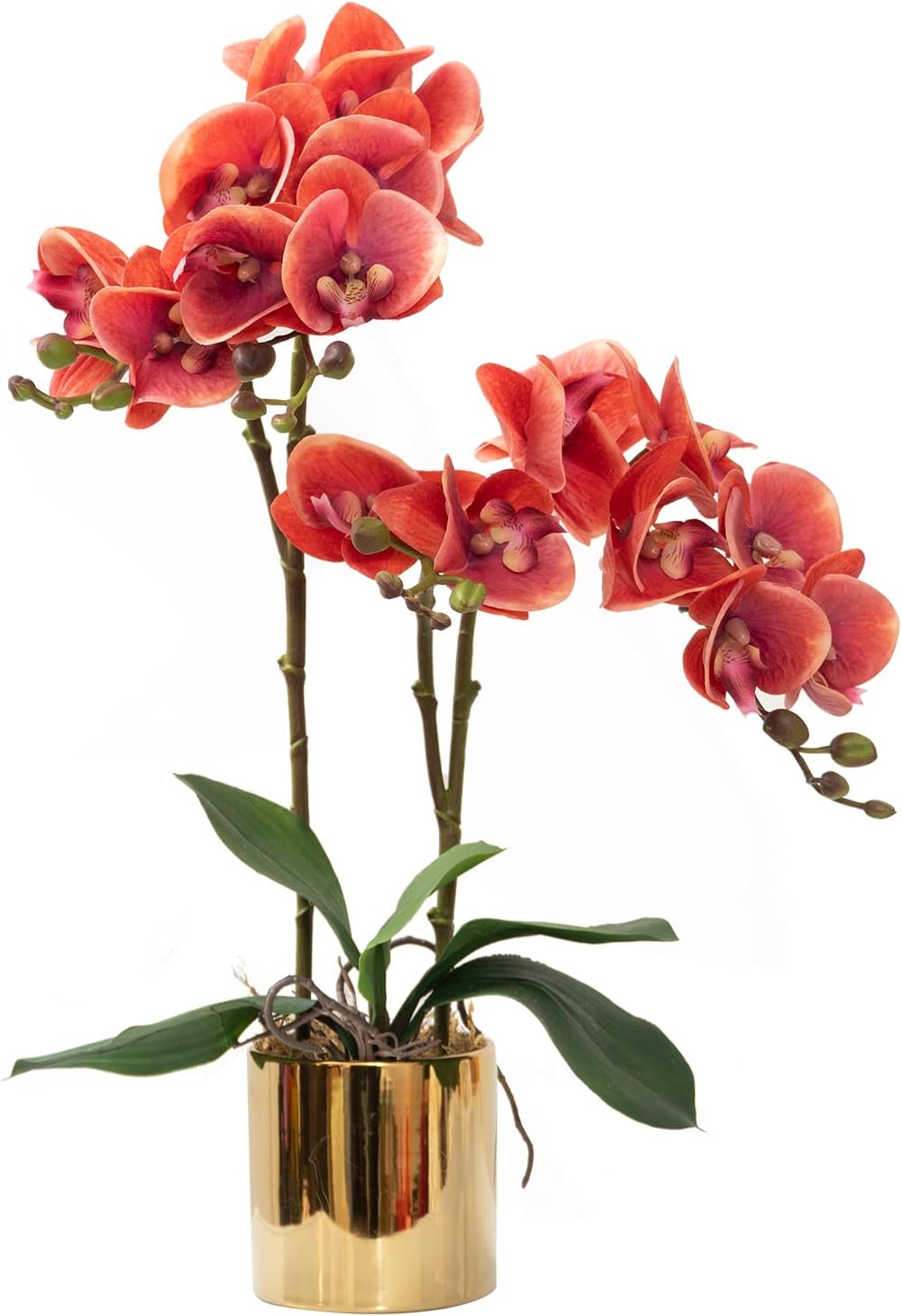 CXGS Artificial Orchid Flower Plant Real Touch Faux Orchids