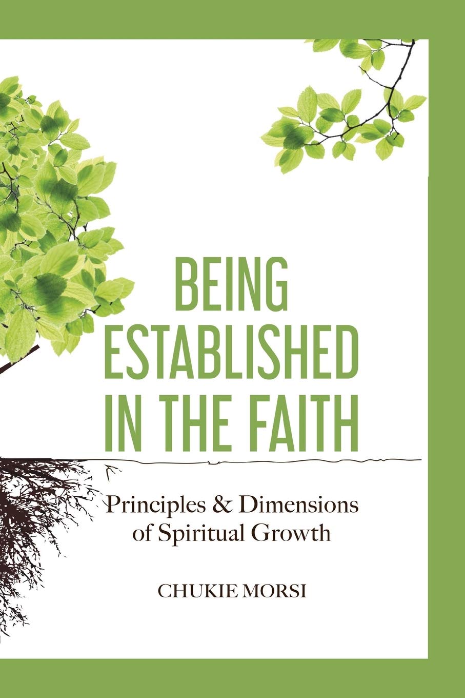 BEING ESTABLISHED IN THE FAITH: “Principles and Dimensions of Spiritual Growth”