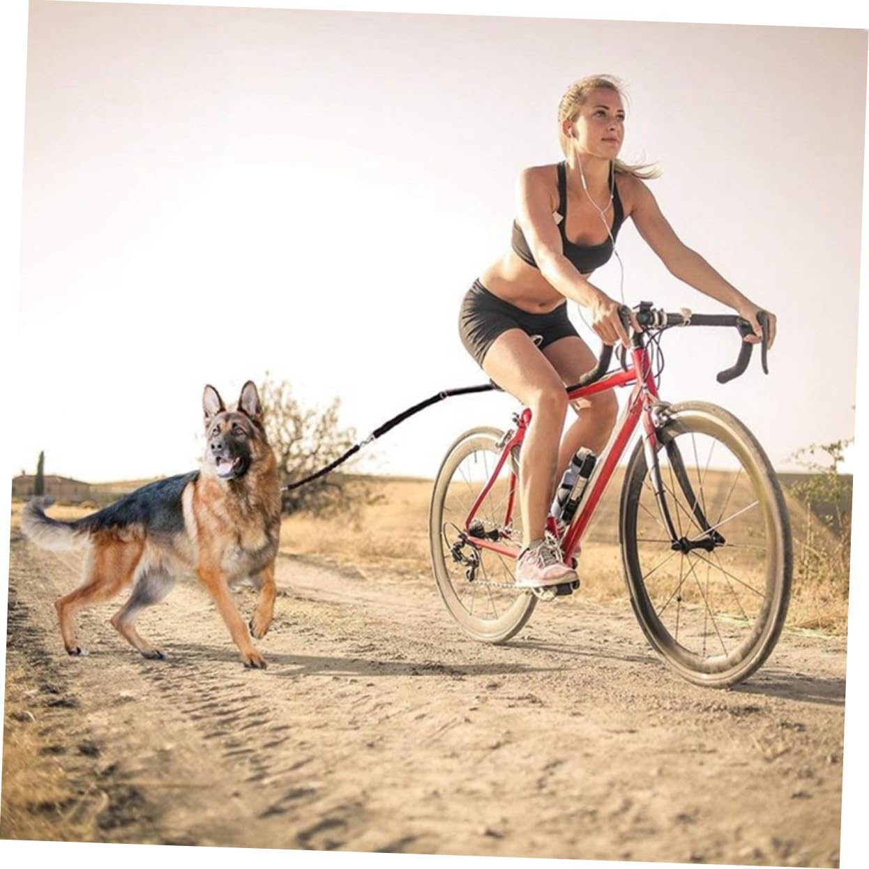 BESTonZON Laisse De Traction pour Chiens De Pétition pour Vélo Accessoire Pratique pour Matériaux Résistants Et Installation Rapide