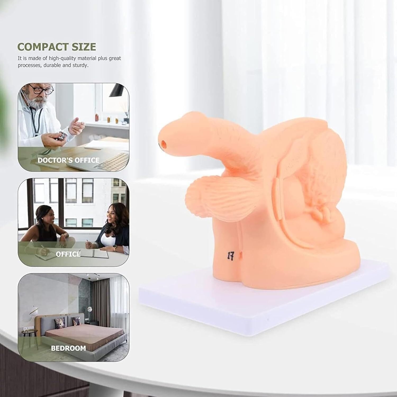ICEMOB Zestaw do nauki anatomii cewnika męskiego i żeńskiego, model ćwiczeń cewnika, model anatomii wewnętrznych i zewnętrznych narządów płciowych, typ cewnika cewki moczowej