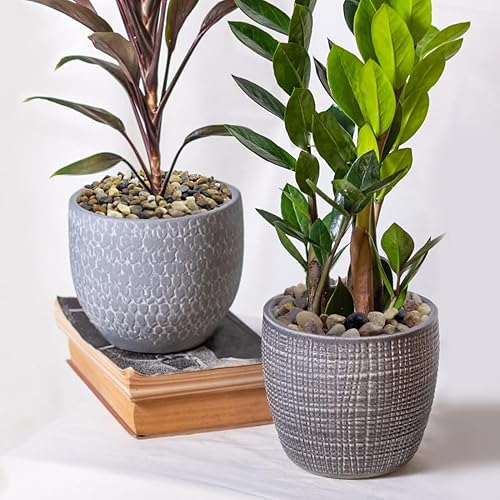 Miniatura 3 de Rocas naturales de río de 10 libras, grava de acuario de 14 de pulgada, rocas pequeñas para plantas, grava de guisantes para pecera, guijarros