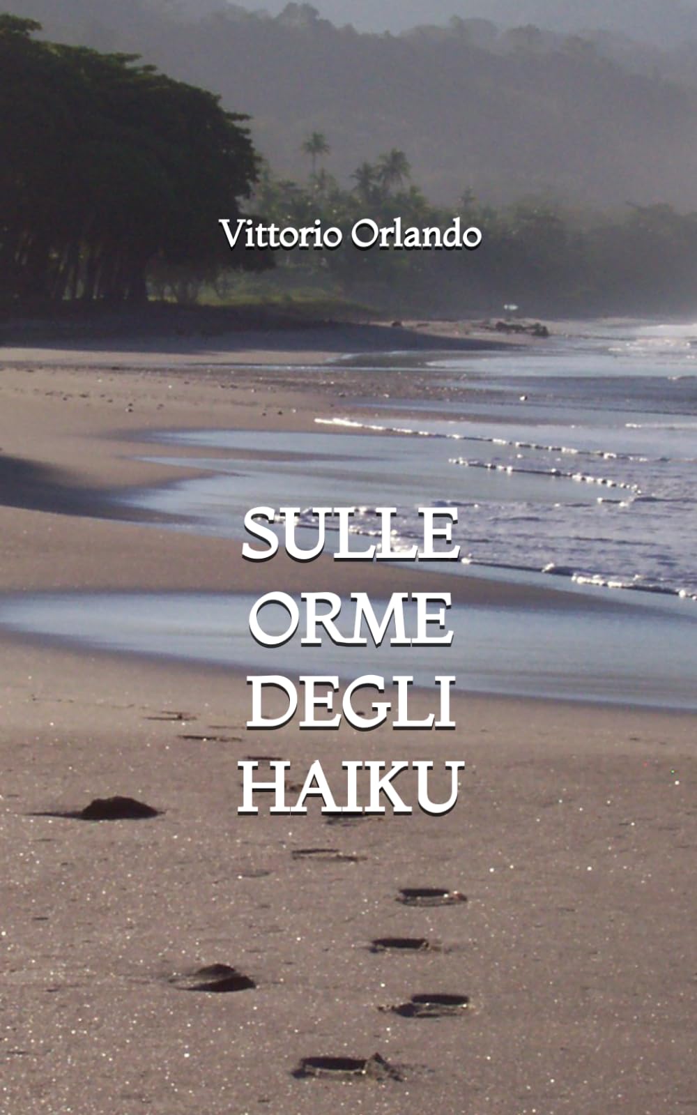 Sulle orme degli Haiku