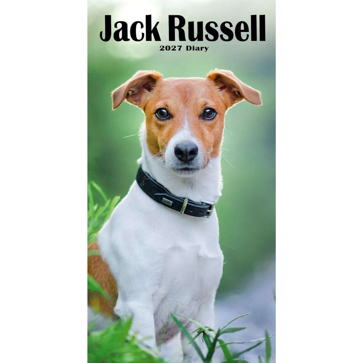 Carousel Worldwide 2027 Jack Russell Terriers Diary, Slim Week to View