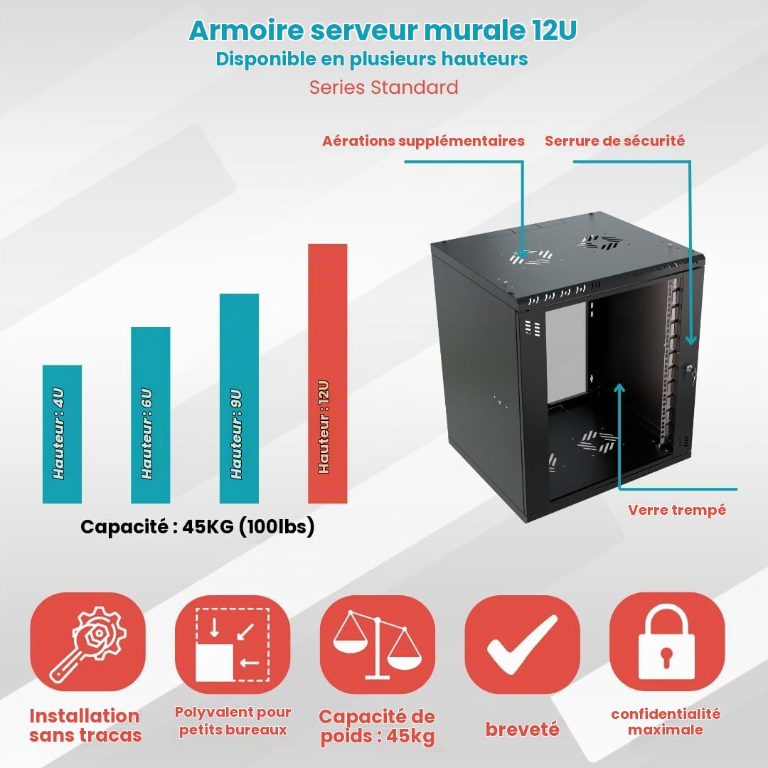 Armoire Réseau 19 Pouces - Baie Informatique 12U - Baie de Brassage pour Montage Mural - Capacité de Charge 55 kg - Profondeur 450 mm - Armoire Informatique - Noir