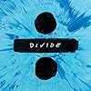 Divide (Deluxe) [Lp]