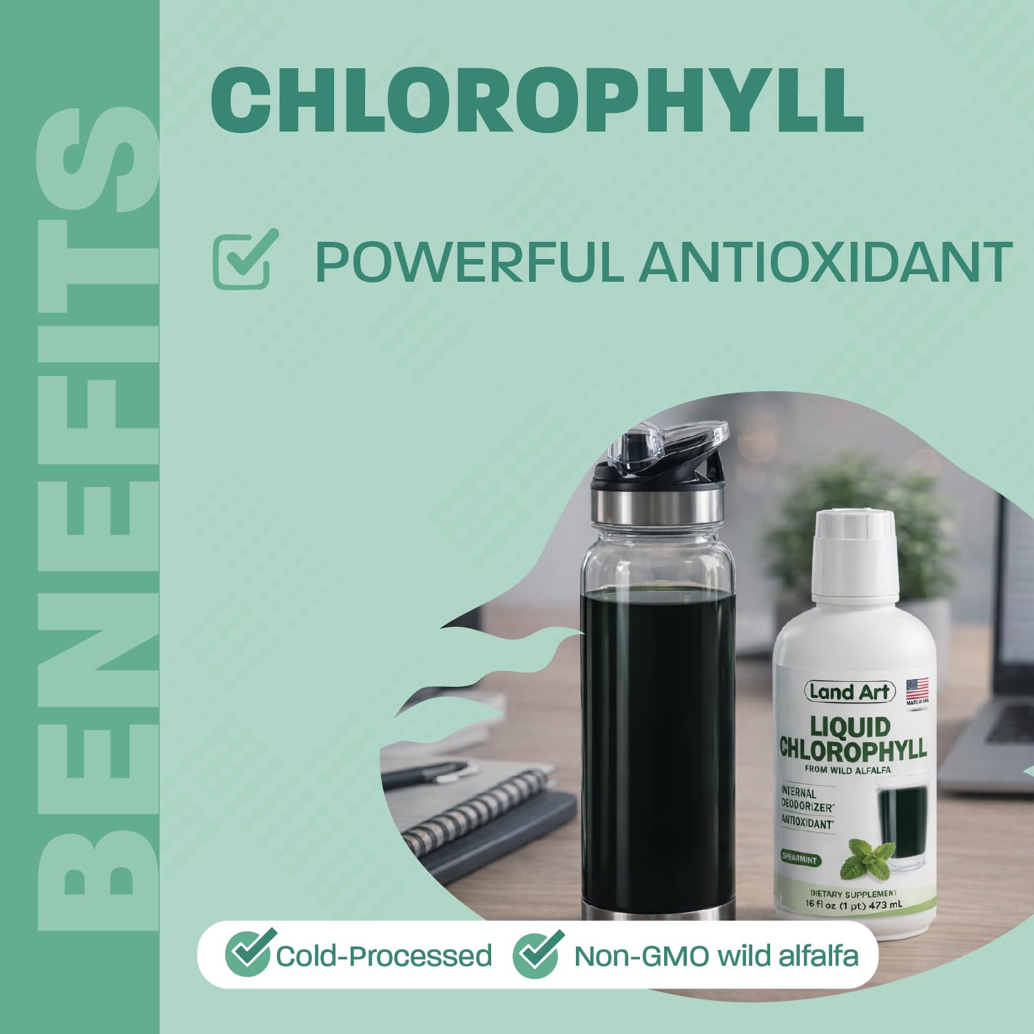 Chlorophyll, Cold-Extracted, Wild Alfalfa, Body Odor, Mint, 16 fl oz — Amazon image 4