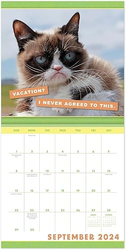 Miniatura 8 de 2024 Grumpy Cat Mini Monthly Wall Calendar, 7" x 7" (DDMN682824)