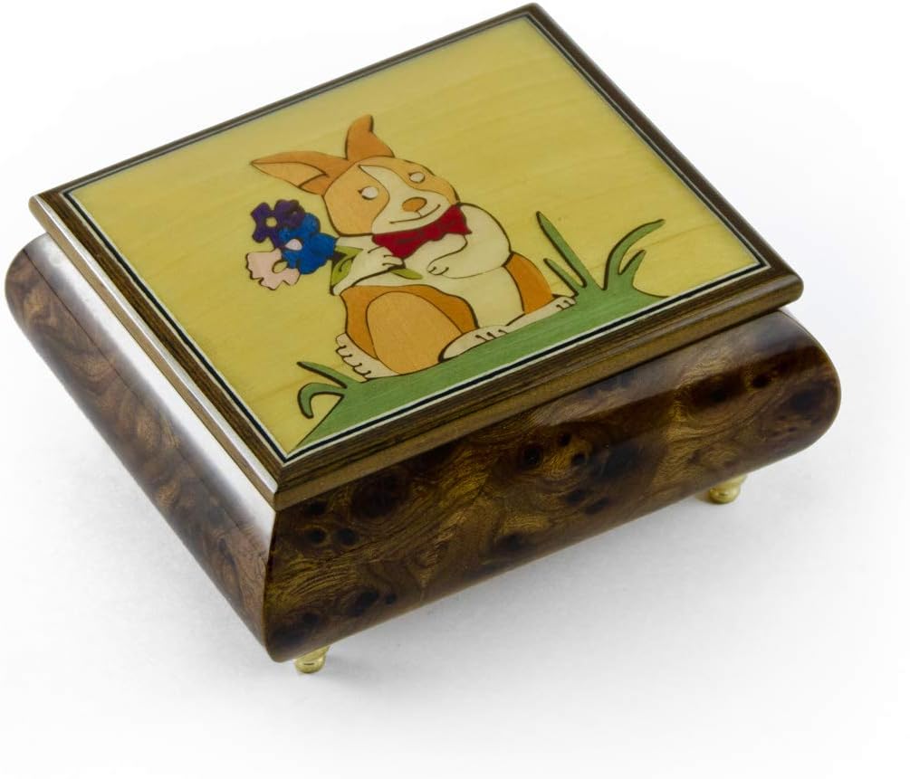 Bunny Boy Astonishing Music Jewelry Box - Many Songs to Choose - Rock Around The Clock