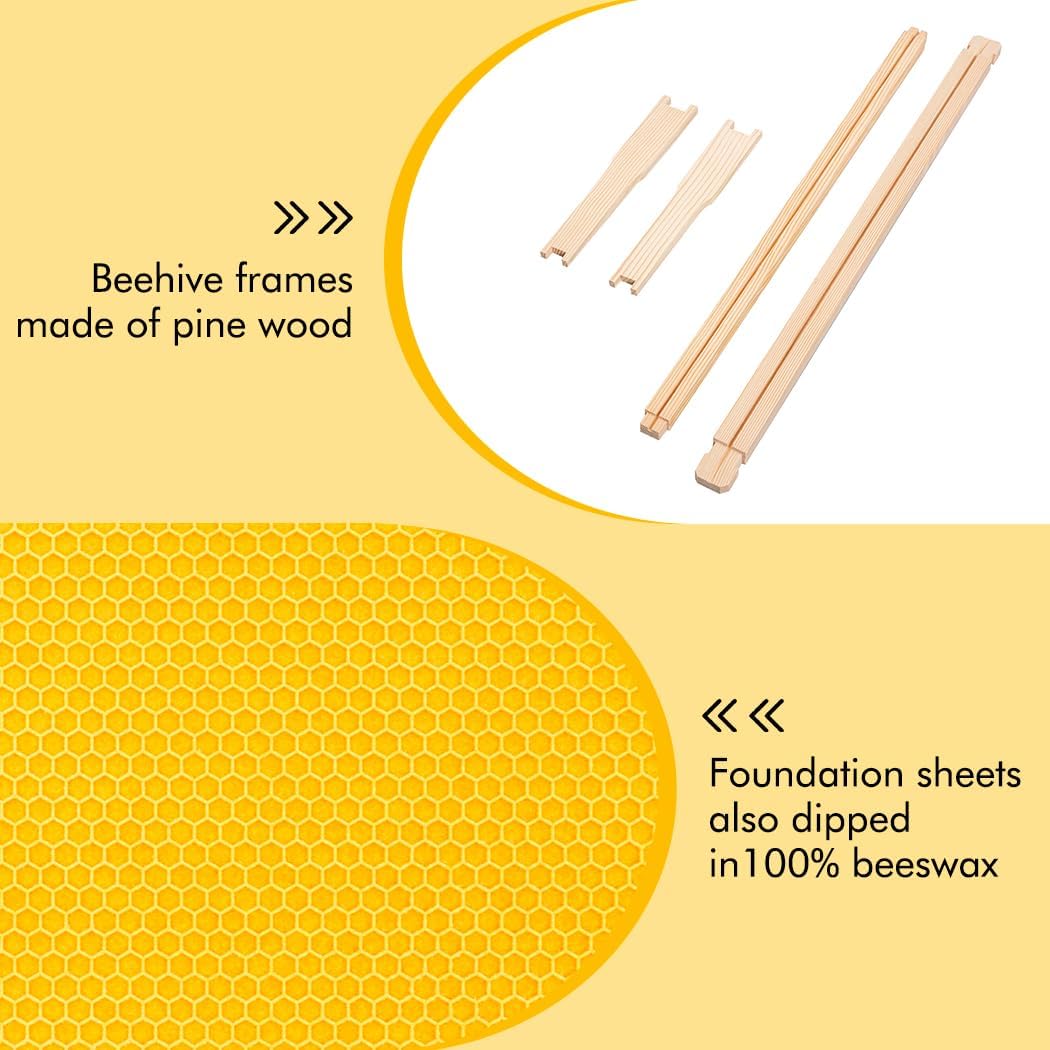 Honey Lake Medium Beehive Frames and Foudations Kit,10 Pack Super Wooden Frames and Beeswax Dipped Plastic Foundations for Beekeeping